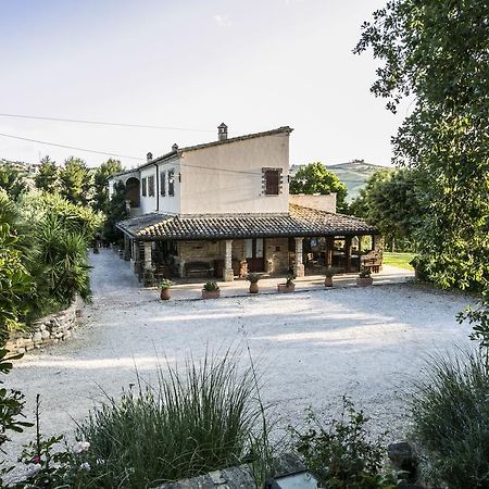 مبيت وإفطار بينيتو Agriturismo Col Morino المظهر الخارجي الصورة
