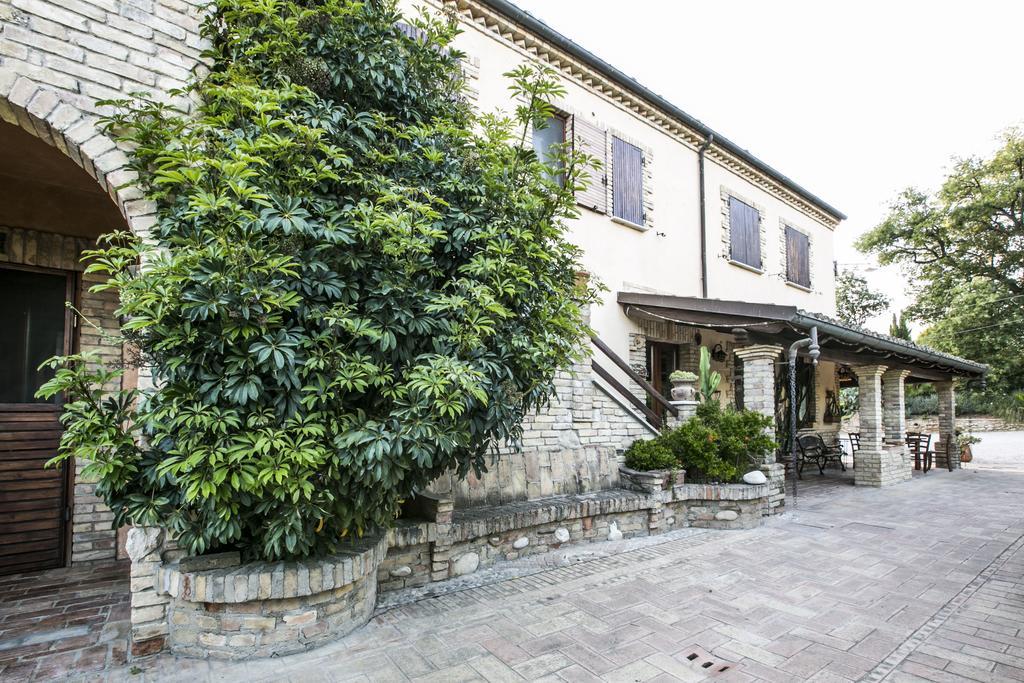 مبيت وإفطار بينيتو Agriturismo Col Morino المظهر الخارجي الصورة