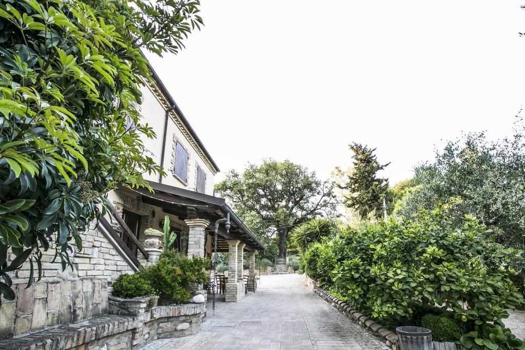 مبيت وإفطار بينيتو Agriturismo Col Morino المظهر الخارجي الصورة