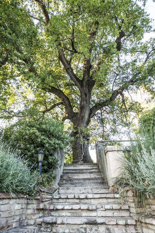مبيت وإفطار بينيتو Agriturismo Col Morino المظهر الخارجي الصورة