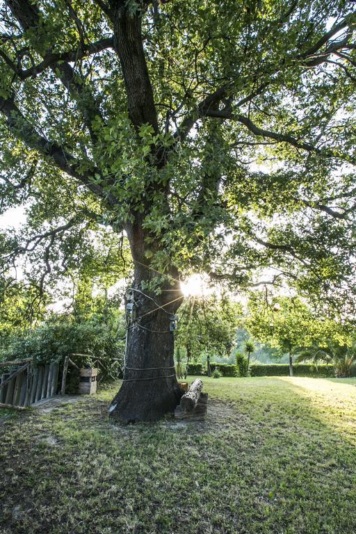 مبيت وإفطار بينيتو Agriturismo Col Morino المظهر الخارجي الصورة
